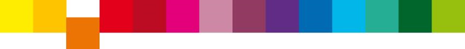 Farbkonzept Behinderung